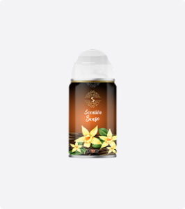Aerosol 300ml Spray